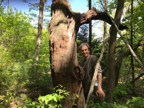 Frank with ancient apple tree